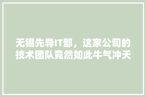 无锡先导IT部，这家公司的技术团队竟然如此牛气冲天！ 神马SEO