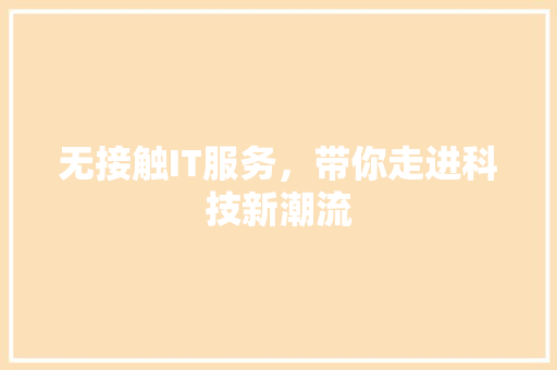 无接触IT服务，带你走进科技新潮流 SEO关键词