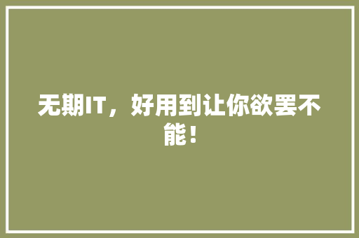 无期IT，好用到让你欲罢不能！ 必应SEO