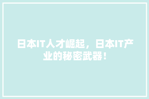 日本IT人才崛起，日本IT产业的秘密武器！ 百度SEO