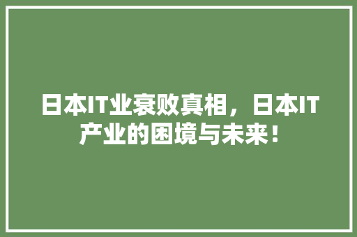 日本IT业衰败真相，日本IT产业的困境与未来！ 神马SEO