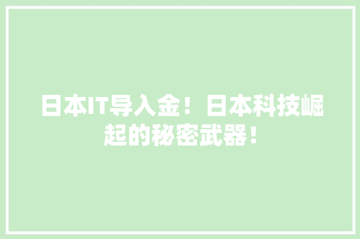 日本IT导入金！日本科技崛起的秘密武器！ 必应SEO