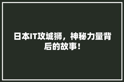 日本IT攻城狮，神秘力量背后的故事！ 搜狗SEO