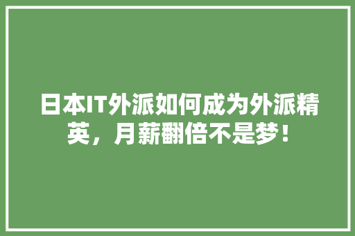 日本IT外派如何成为外派精英，月薪翻倍不是梦！ 神马SEO