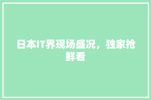 日本IT界现场盛况，独家抢鲜看 网站建设公司