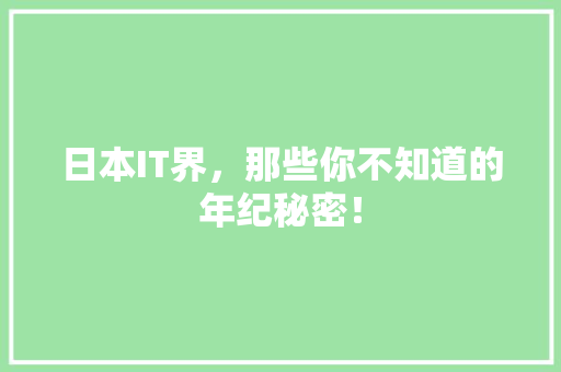 日本IT界，那些你不知道的年纪秘密！ 百度SEO