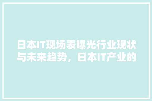 日本IT现场表曝光行业现状与未来趋势，日本IT产业的秘密！ SEO关键词