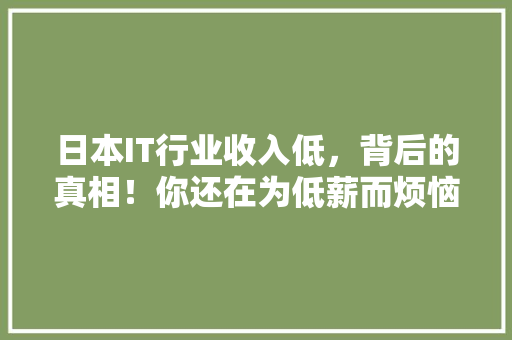 日本IT行业收入低，背后的真相！你还在为低薪而烦恼吗 必应SEO