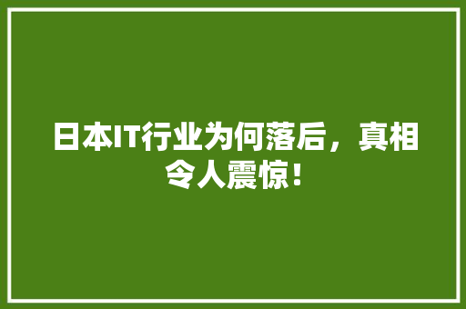 日本IT行业为何落后，真相令人震惊！ 网站建设公司