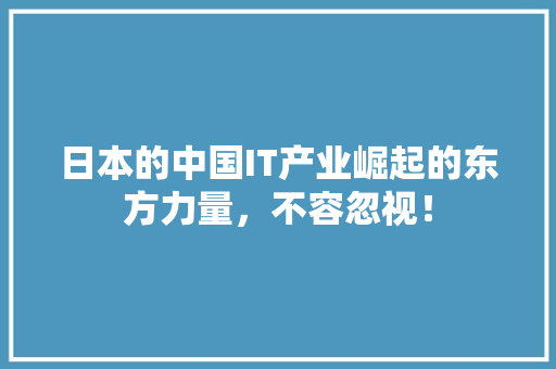 日本的中国IT产业崛起的东方力量，不容忽视！ 网站建设公司