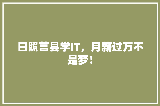 日照莒县学IT，月薪过万不是梦！ SEO关键词