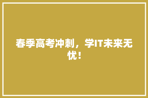 春季高考冲刺，学IT未来无忧！ 百度SEO