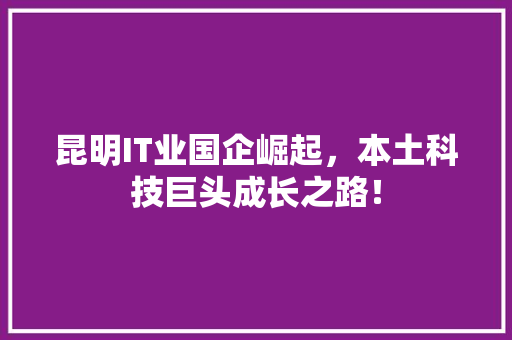 昆明IT业国企崛起，本土科技巨头成长之路！ 必应SEO
