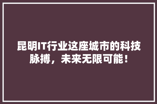 昆明IT行业这座城市的科技脉搏，未来无限可能！ 网站建设公司
