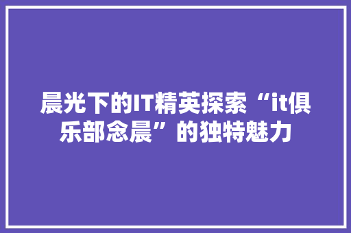 晨光下的IT精英探索“it俱乐部念晨”的独特魅力 网站建设公司