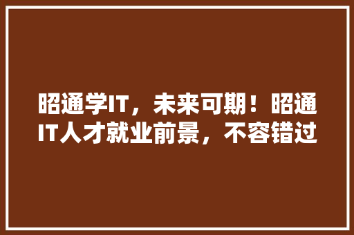 昭通学IT，未来可期！昭通IT人才就业前景，不容错过！ 百度SEO