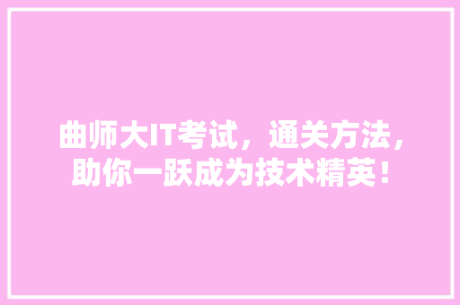 曲师大IT考试，通关方法，助你一跃成为技术精英！ SEO关键词