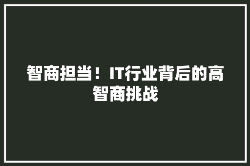 智商担当！IT行业背后的高智商挑战 百度SEO