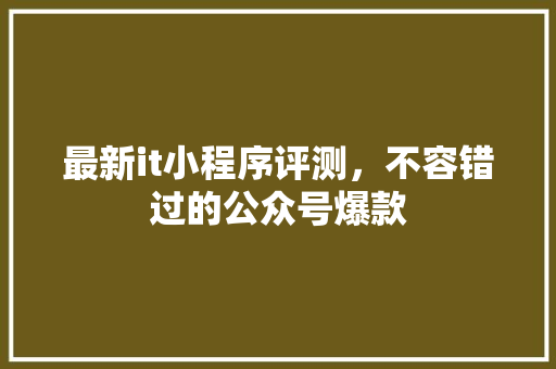 最新it小程序评测，不容错过的公众号爆款 SEO关键词