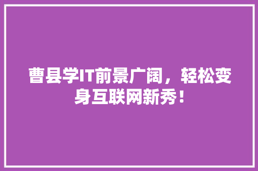 曹县学IT前景广阔，轻松变身互联网新秀！ 网站建设公司