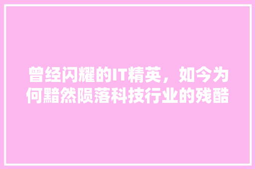 曾经闪耀的IT精英，如今为何黯然陨落科技行业的残酷真相！ 必应SEO
