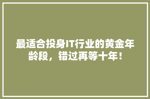 最适合投身IT行业的黄金年龄段，错过再等十年！ SEO关键词