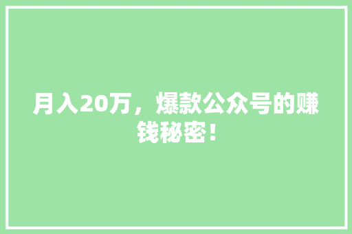 月入20万，爆款公众号的赚钱秘密！ 必应SEO