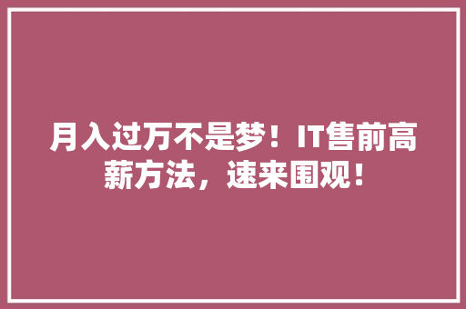 月入过万不是梦！IT售前高薪方法，速来围观！ 神马SEO
