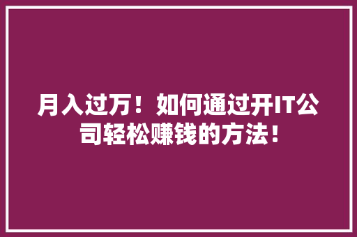 月入过万！如何通过开IT公司轻松赚钱的方法！ 搜狗SEO