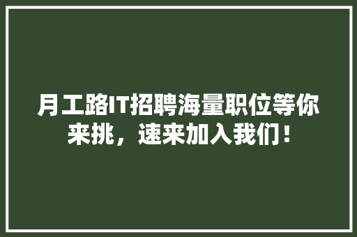 月工路IT招聘海量职位等你来挑，速来加入我们！ 百度SEO