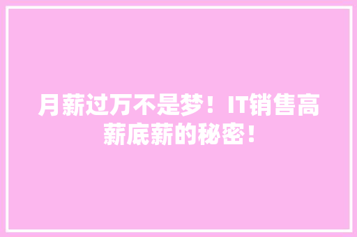 月薪过万不是梦！IT销售高薪底薪的秘密！ 必应SEO