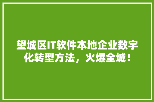 望城区IT软件本地企业数字化转型方法，火爆全城！ 百度SEO