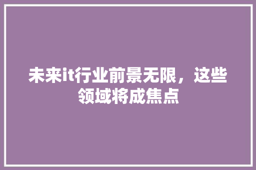 未来it行业前景无限，这些领域将成焦点 必应SEO