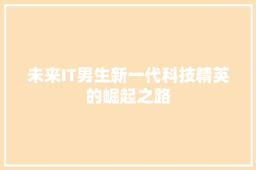 未来IT男生新一代科技精英的崛起之路 必应SEO