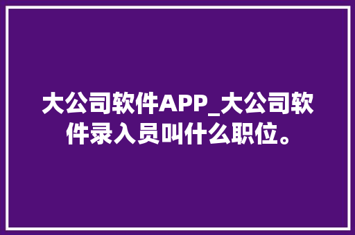 大公司软件APP_大公司软件录入员叫什么职位。