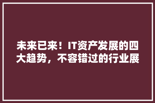 未来已来！IT资产发展的四大趋势，不容错过的行业展望 网站建设公司