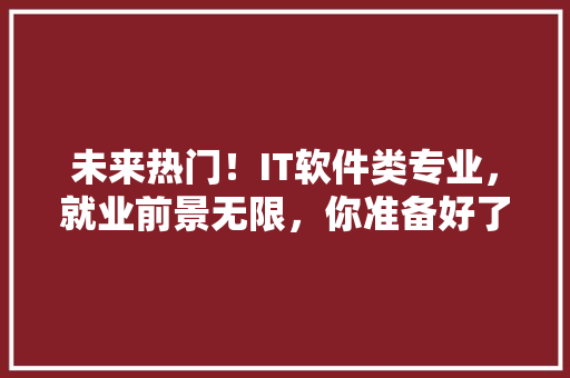 未来热门！IT软件类专业，就业前景无限，你准备好了吗 百度SEO