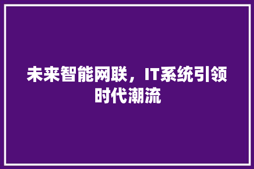 未来智能网联，IT系统引领时代潮流 网站建设公司