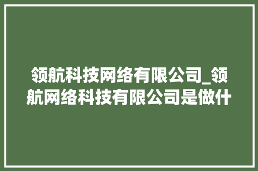 领航科技网络有限公司_领航网络科技有限公司是做什么的。