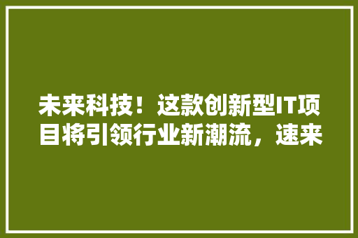未来科技！这款创新型IT项目将引领行业新潮流，速来围观！ 网站建设公司