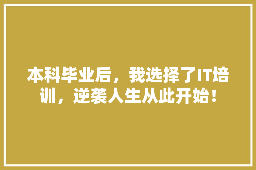 本科毕业后，我选择了IT培训，逆袭人生从此开始！ 网站建设公司