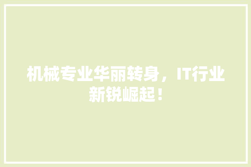 机械专业华丽转身，IT行业新锐崛起！ 神马SEO