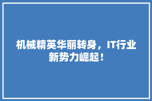 机械精英华丽转身，IT行业新势力崛起！ SEO关键词