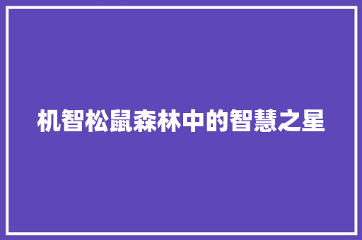 机智松鼠森林中的智慧之星 百度SEO