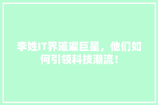 李姓IT界璀璨巨星，他们如何引领科技潮流！ 必应SEO