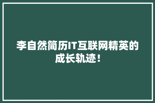 李自然简历IT互联网精英的成长轨迹！ SEO关键词