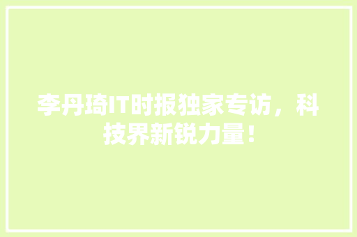 李丹琦IT时报独家专访，科技界新锐力量！ 必应SEO