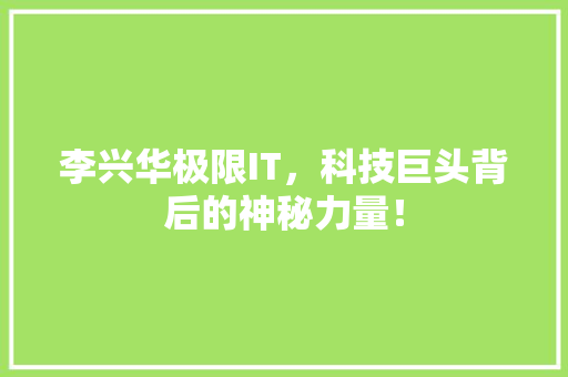 李兴华极限IT，科技巨头背后的神秘力量！ 网站建设公司