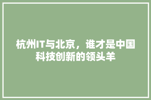 杭州IT与北京，谁才是中国科技创新的领头羊 网站建设公司