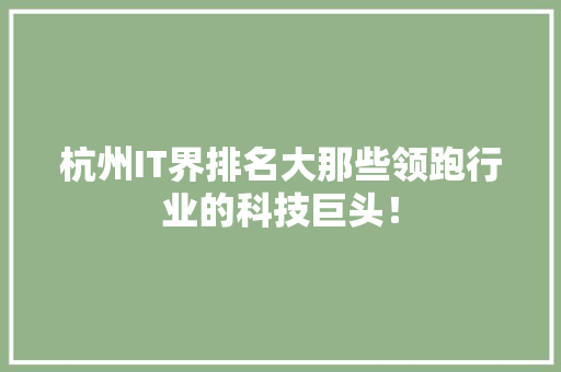 杭州IT界排名大那些领跑行业的科技巨头！ 百度SEO